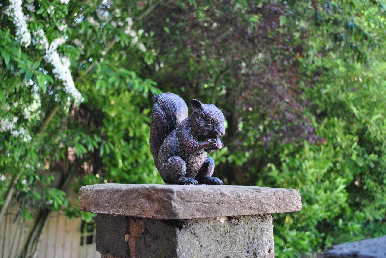 فيلا Squirrel Barn Milwich المظهر الخارجي الصورة